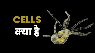 कोशिका क्या है | What are Cells? Cell Biology Explained in Hindi | Hungry Ghost