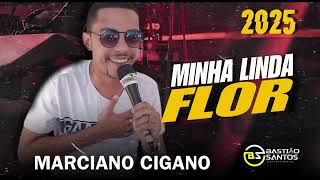 Marciano cigano 2025 Minha  Linda Flor