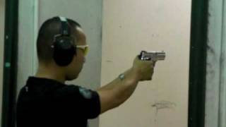 Carl_Taurus PT-915 (2)