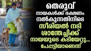 തെരുവ് നായകൾക്ക് ഭക്ഷണം നൽകുന്നതിനിടെ സീരിയൽ നടി ശാന്തേച്ചിക്ക് നായയുടെ കടിയേറ്റു..പേപ്പട്ടിയാണെന്ന്