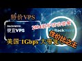 【2024年末黑色星期五VPS大促】美国性价比VPS黑五USA特价VPS 超高性价比VPS 美西虚拟主机 大流量部署v2ray hysteria2速度起飞 1Gbps大带宽服务器特惠轻松播放8K视频