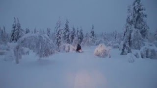 Lapin Luontolomat Oy, Saariselkä