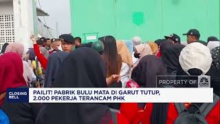 Pailit! Pabrik Bulu Mata di Garut Tutup, Pekerja Terancam PHK