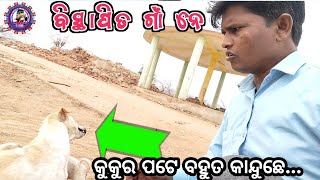 LOWER SUKTEL PROJECT BISTAPIT VILLAGE BANCHHOR PALI ll କୁକୁର ପଟେ ବହୁତ କାନ୍ଦୁଛେ‌ ।।