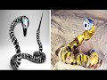 Amazing Inventions That Are On Another Level | #2