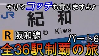 【全駅制覇シリーズ】阪和線の全36駅制覇を目指してみた　パート6(鉄道旅行)