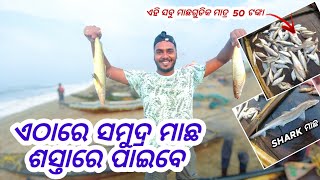 PURI BEACH ରେ ଶସ୍ତା ସମୁଦ୍ର ମାଛ ପାଇବେ | PURI SEA FISH MARKET | Odia Surfer Harry | 2022