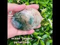 Ocean Jasper Palmstone