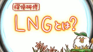 探偵研修：LNGとは？　EEE探偵社120話（とりぷるいーたんていしゃ120話）