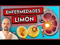 12 ENFERMEDADES que se CURAN consumiendo LIMÓN || ¡ASOMBROSOS BENEFICIOS del AGUA con LIMÓN!