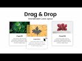 Reorderable Drag-and-Drop Sortable Card Layout & For List Layouts - HTML, CSS & Javascript