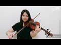 Imagine Dragons - Birds ft. Elisa(Violin Cover)