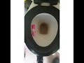 Toilet cleaner made easy