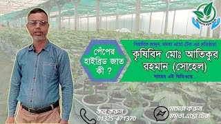 পেঁপের হাইব্রিড জাত কী? বিস্তারিত জানুন |কৃষিবিদ মোঃ আতিকুর রহমান (সোহেল) স্যার এর এই ভিডিও থেকে।