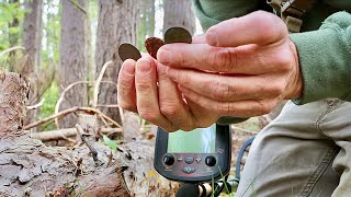 One coin leads to another metal detecting this spot