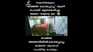 വേങ്ങര കൊയപ്പാപ്പ തുണി പൊക്കി മൂത്രം ഒഴിച്ച് മഴ പെയ്യിപ്പിച്ചു