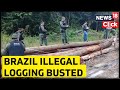 Brazil's Illegal Logging News | Police Bust Illegal Logging Site In Amazon Rainforest | News18