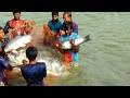 Big net fishing video in village pond