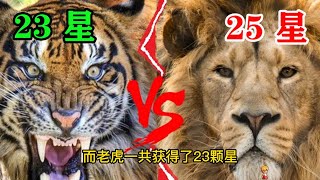 草原之王大戰百獸之王，誰能更勝一籌，獅子vs老虎合集【動物世界】