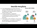 T0-1458 -Cancer Cytogenetics Leukemia