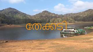 തേക്കടി  ബോട്ടിംഗ്  | Periyar National Park | Thekkady Boating | Thekkady Tourism |Tiger Reserve