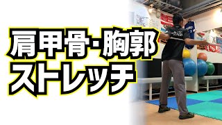 野球やゴルフに必要な肩甲骨と胸郭のストレッチ集！球速アップや飛距離アップ、野球肩・野球肘や腰痛などのケガ予防にもおすすめです！