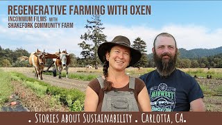 STORIES ABOUT SUSTAINABILITY | Shakefork Community Farm, Carlotta, CA
