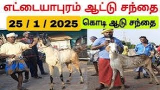 25/1/2025 ஆட்டு சந்தை எட்டையபுரம் கொடி ஆடுகள்#எட்டையாபுரம்