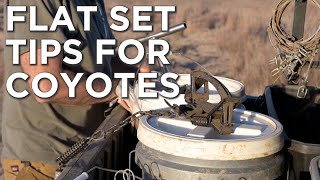 Flat Set Tips For Coyotes! | Location, Lures & Baits, Wind Direction