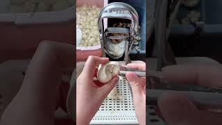 Interesting tool to cut and peel garlic #shorts #agriculture #viral #foryou #satisfying Part:03