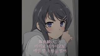 (가사) 청춘 돼지 ED_불가사의 카르테 FULL - 사쿠라지마 마이