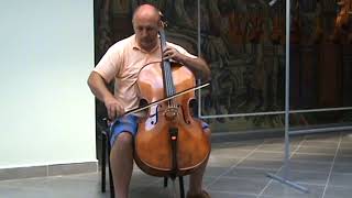 cello Montagnana made by Ivan Stankov part4