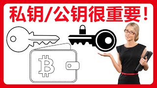 区块链转账解密：私钥、公钥与交易安全！#213