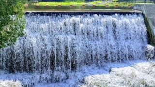 BELFOUNTAIN CONSERVATION AREA Has A Magical Hidden Bridge And Gorgeous Waterfalls - Belfountain ONT