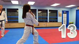 TAEKWONDO (basic foundation form 1 and 2)-tutorial