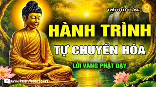 Hành Trình Tự Chuyển Hóa: Làm Sao Để Đứng Dậy Sau Mỗi Thất Bại?