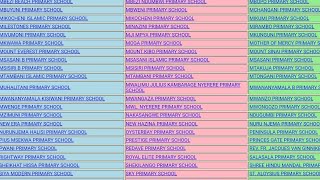 MATOKEO YA DARASA LA NNE 2024/2025 JINSI YA KUANGALIA MATOKEO DARASA LA NNE SSFNA RESULTS