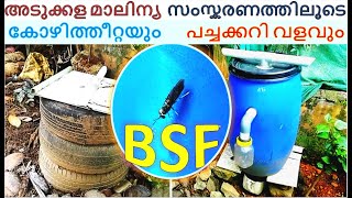 BSF (Black Soldier Fly) Larvae Composter at home | ഞങ്ങടെ മുറ്റത്തെ പരീക്ഷണവും ഫലവും | Malayalam