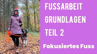 Grundlagen Fussarbeit -Teil 2 - Fokusiertes Fuss