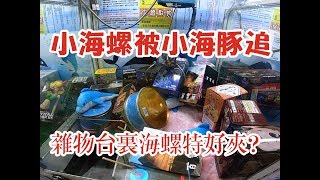 【三爪禪師夾娃娃】海螺和海豚鬼混，斜甩後螃蟹潰燙翻。菜咪啊雜物台，什麼都有什麼都不奇怪。 #115