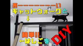 【猫動画】長いキャットウォークと簡単なはしごを作ってみた!！【DIY】