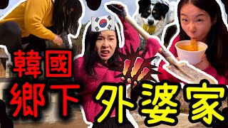 韓國人去鄉下日常生活，跟台灣天差地遠，香腸哥英宰配音的章魚Vlog