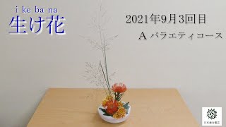 花の定期便　生け方動画　パニカム　ピンクッション　スプレーマム