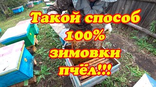 ПЧЕЛОВОД СОБЕРИ ТАК В ЗИМУ СВОИ ПЧЕЛОСЕМЬИ ДЛЯ 100% ЗИМОВКИ И БУДЬ СПОКОЕН ДО ОБЛЁТА.