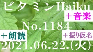 朗読つき。耳と目と口で楽しむ、今日の俳句。ビタミンHaiku。No.1184。2021.06.22.(火曜日)