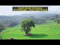 Sawah terindah di Indonesia versi Majalengka // Sawah Langit Binuang