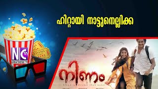 ഹിറ്റായി നാട്ടുനെല്ലിക്ക | NINAM  | Nana Cinema Tv Official