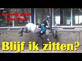 Pony Pippi test me uit op de MANEGE. Ze is aan het BOKKEN en probeert mij eraf te gooien #2031