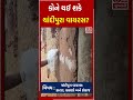 કોને થઈ શકે ચાંદીપુરા વાયરસ virus chandipura disease