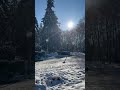 bright winter day Яскравий зимовий день nature